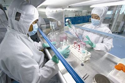 MOVAS貼壁傳代培養(yǎng)細(xì)胞系價(jià)格 產(chǎn)地:上海市張江高科技園區(qū) 品牌:DSMZ、ATCC、RIKEN等細(xì)胞庫(kù) 廠家:上海鼎達(dá)生物科技