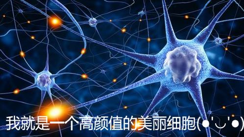 北大金牌學長經驗分享 從北大生科來到北京協和醫學院