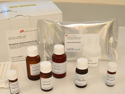 乳酸鋰867 55 0 供應產(chǎn)品 上海義森生物科技