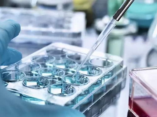 一篇文章告訴你 干細(xì)胞儲存的意義