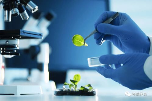 教育部統(tǒng)計數(shù)據(jù) 這8個專業(yè)的學生已經(jīng)嚴重飽和, 報考千萬要謹慎