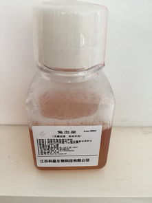 其它 價(jià)格 采購(gòu) 供應(yīng)商信息